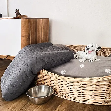 Hundefreundliche Familienwohnung Naehe Zermatt *